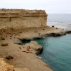 10-all-of-the-sea-lions-hung-out-on-the-southern-tip-of-the-peninsula