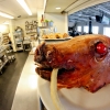 21-turns-out-that-roast-pig-is-tradition-for-the-super-bowl-party-at-the-south-pole-i-think-he-just-looks-creepy